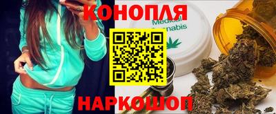 прущие крисы Донской