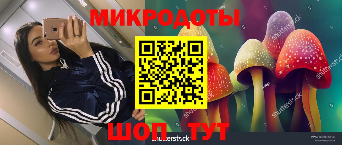 Галлюциногенные грибы Psilocybine cubensis  Вход с VPN  Мценск 